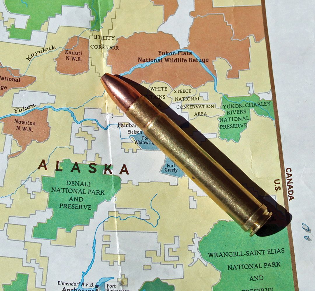 A .416 Remington Magnum loaded with 400-grain bullets is a good option for coastal brown bears.